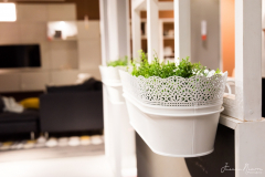 Juanma_Navarro_JNR_8753