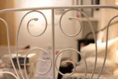 Manuel_Aguirre_Camacho_DSC_0072