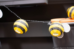 Manuel_Aguirre_Camacho_DSC_0079