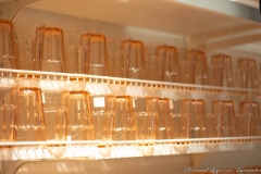 Manuel_Aguirre_Camacho_DSC_0093