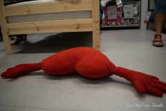 Miguel_Angel_Lopez_Torralba_ikea_miguel_lopez-15