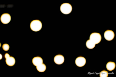 Miguel_Angel_Lopez_Torralba_ikea_miguel_lopez-25