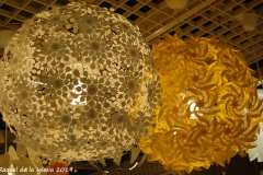 Raquel_de_la_Iglesia_5