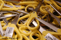 Raquel_de_la_Iglesia_Foto_elegida