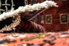 Sergio_Paredes_20 Sergio_Paredes_20