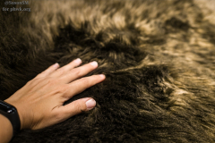 SusanSM_IkeaPHWK-108 SusanSM_IkeaPHWK-108