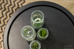 SusanSM_IkeaPHWK-30 SusanSM_IkeaPHWK-30