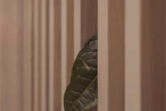 cdlsaints_2019-07-29_18-32-42_530_2019-08-05T12_16_47.576