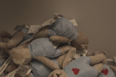 cdlsaints_2019-07-29_18-38-10_740_2019-08-05T12_16_45.813