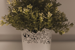 cdlsaints_2019-07-29_18-52-02_530_2019-08-05T12_16_33.261