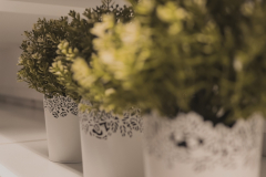 cdlsaints_2019-07-29_18-52-25_960_2019-08-05T12_16_14.671