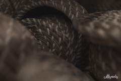 cdlsaints_2019-07-29_19-03-15_910_2019-08-05T12_16_06.441