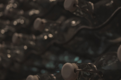 cdlsaints_2019-07-29_19-24-32_660_2019-08-05T12_16_06.168