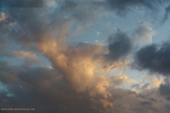 AnastasiaKondratieva.com__MG_9262_Firmada