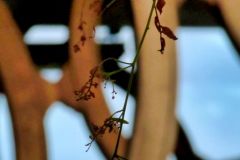 Eduardo_L_M_highres_485019775