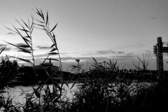 Eduardo_L_M_highres_485019838