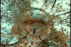 JavidLaraPhotoG_highres_484919933