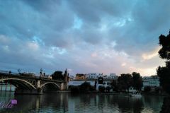 Lola_highres_485002911