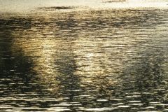 Tomas_highres_484950884