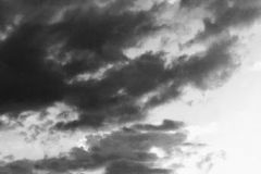 Tomas_highres_484950887