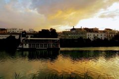 Tomas_highres_484950891