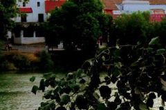 Tomas_highres_484950892