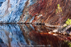 diego_martínez_castañeda_2019