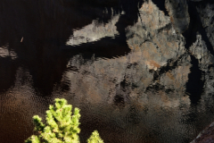 diego_martínez_castañeda_2019