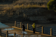 diego martínez castañeda