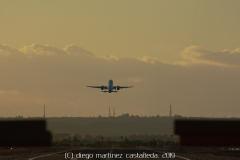 diego martínez castañeda