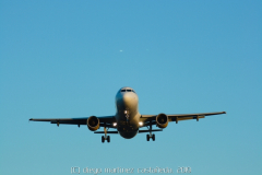 diego martínez castañeda