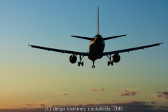 diego martínez castañeda