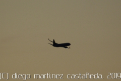 diego martínez castañeda