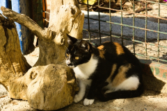 20191124-refugio-la-higuera-anastasia-kondratieva-12 20191124-refugio-la-higuera-anastasia-kondratieva-12