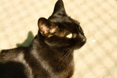 20191124-refugio-la-higuera-anastasia-kondratieva-27 20191124-refugio-la-higuera-anastasia-kondratieva-27