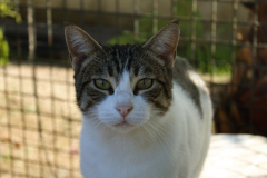 20191124-refugio-la-higuera-anastasia-kondratieva-31 20191124-refugio-la-higuera-anastasia-kondratieva-31