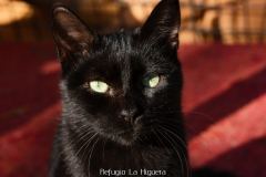 20191124-refugio-la-higuera-diegomc.org-10 20191124-refugio-la-higuera-diegomc.org-10