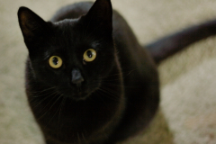 20191124-refugio-la-higuera-diegomc.org-21 20191124-refugio-la-higuera-diegomc.org-21