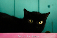 20191124-refugio-la-higuera-diegomc.org-39 20191124-refugio-la-higuera-diegomc.org-39