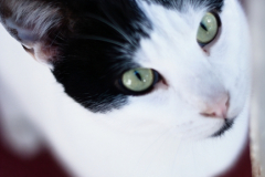 20191124-refugio-la-higuera-diegomc.org-61 20191124-refugio-la-higuera-diegomc.org-61