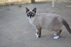 20191124-refugio-la-higuera-hugo-quezada-01 20191124-refugio-la-higuera-hugo-quezada-01