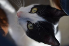 20191124-refugio-la-higuera-hugo-quezada-02 20191124-refugio-la-higuera-hugo-quezada-02