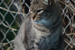 20191124-refugio-la-higuera-hugo-quezada-06 20191124-refugio-la-higuera-hugo-quezada-06