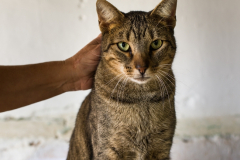 20191124-refugio-la-higuera-susana-servan-07 20191124-refugio-la-higuera-susana-servan-07