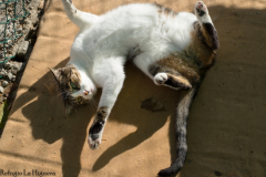 20191124-refugio-la-higuera-susana-servan-12 20191124-refugio-la-higuera-susana-servan-12