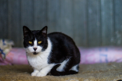 20191124-refugio-la-higuera-susana-servan-27 20191124-refugio-la-higuera-susana-servan-27