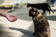 20191124-refugio-la-higuera-susana-servan-32 20191124-refugio-la-higuera-susana-servan-32