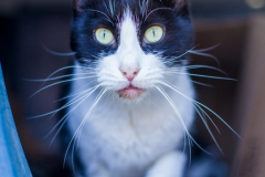 20191124-refugio-la-higuera-susana-servan-44 20191124-refugio-la-higuera-susana-servan-44