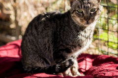 20191124-refugio-la-higuera-susana-servan-45 20191124-refugio-la-higuera-susana-servan-45