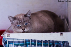 20191124-refugio-la-higuera-susana-servan-51 20191124-refugio-la-higuera-susana-servan-51